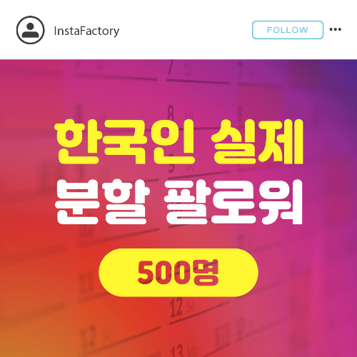인스타 팔로워 늘리기 실제 한국인 (매일 소량 팔로워 증가) - 500명