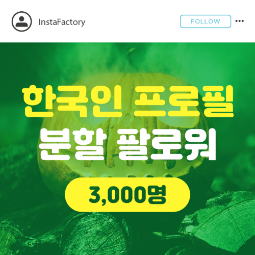 인스타 프로필 팔로워 늘리기 한국인(분할) - 3,000명